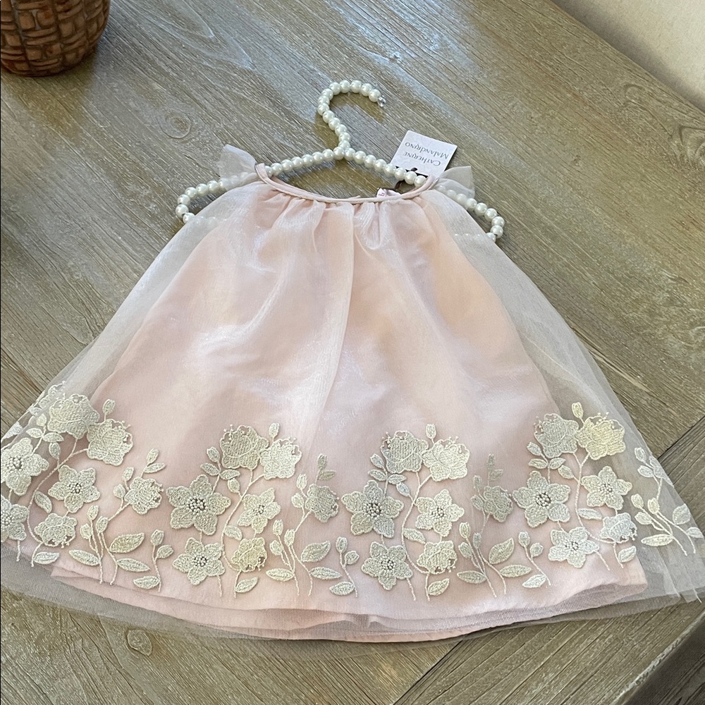 Toddler 12 month Pink Floral Embroidered Dress NWT